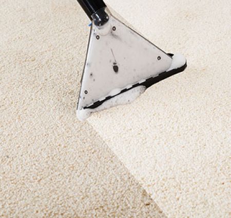 Carpet Extraction Services